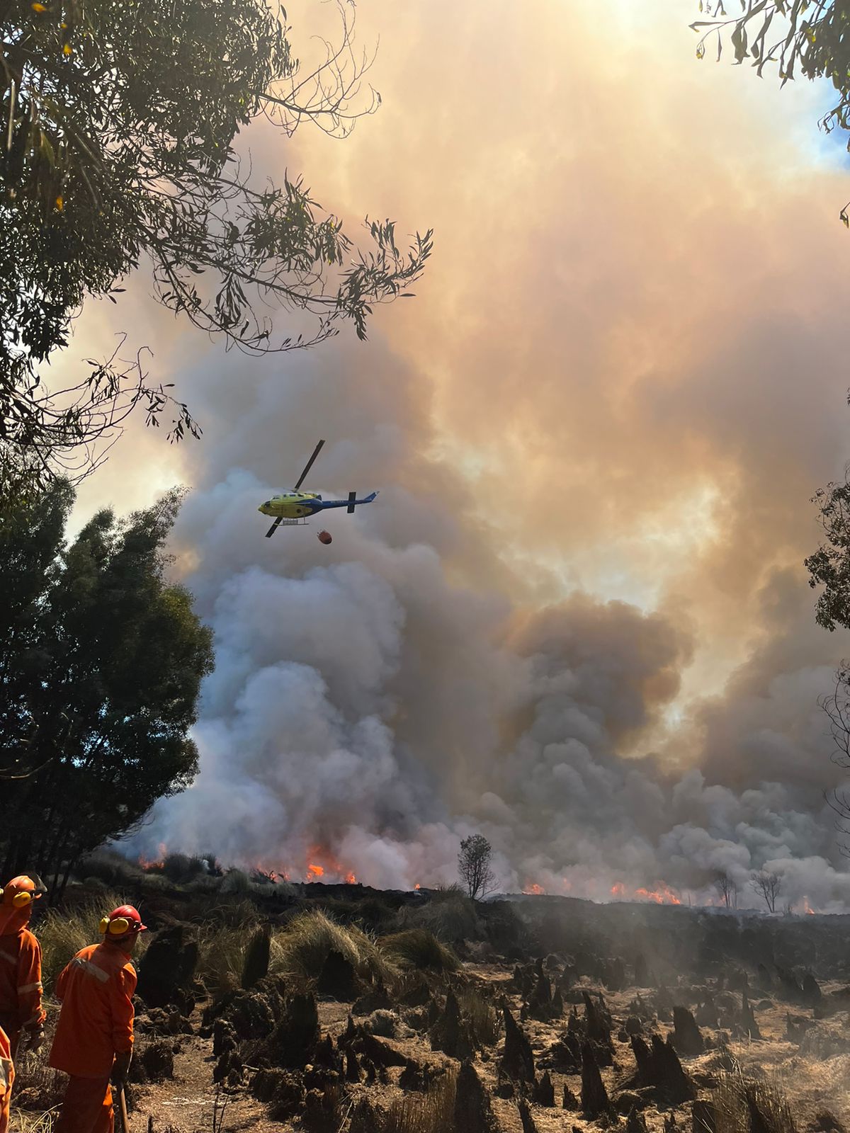 SEREMI DE SALUD ENTREGA RECOMENDACIONES A PERSONAL QUE TRABAJA EN INCENDIOS FORESTALES