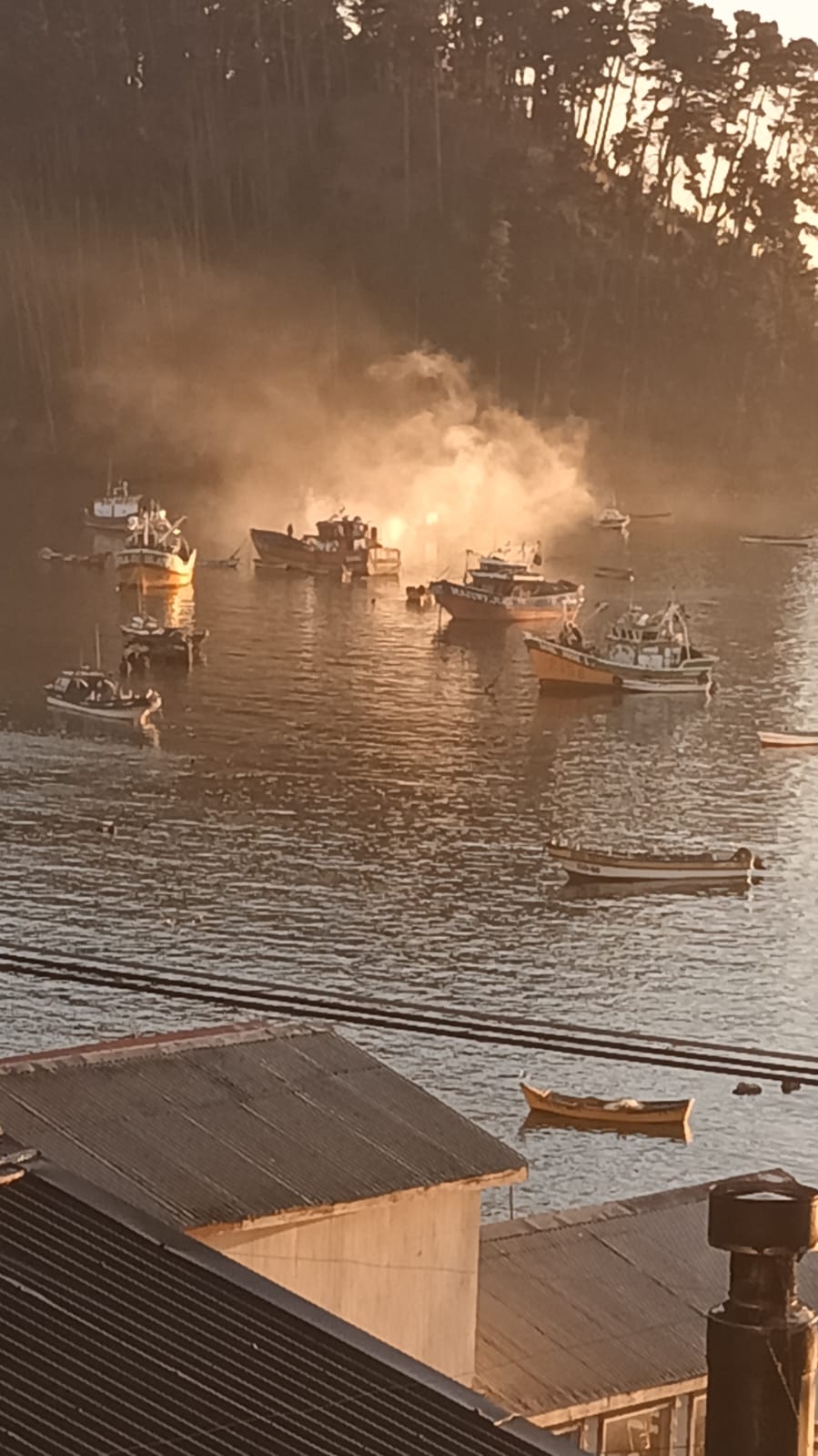 TOMÉ : Bomberos de la comuna se dirigen a localidad de #Coliumo sector “Los Morros” .