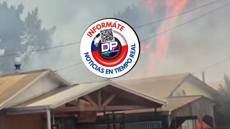 Presentan plan de acción para enfrentar incendios forestales en la Región del Biobío