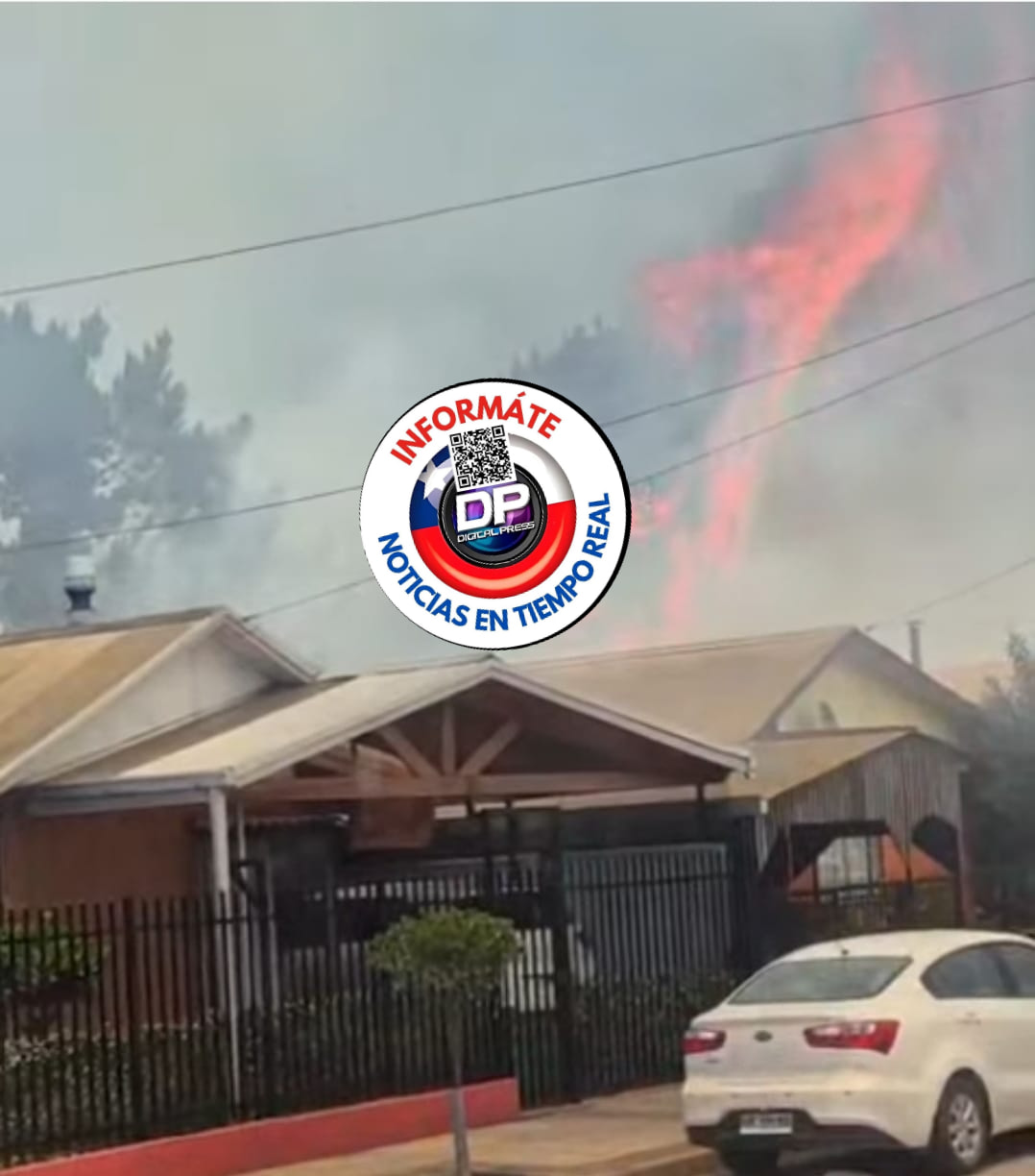 Presentan plan de acción para enfrentar incendios forestales en la Región del Biobío